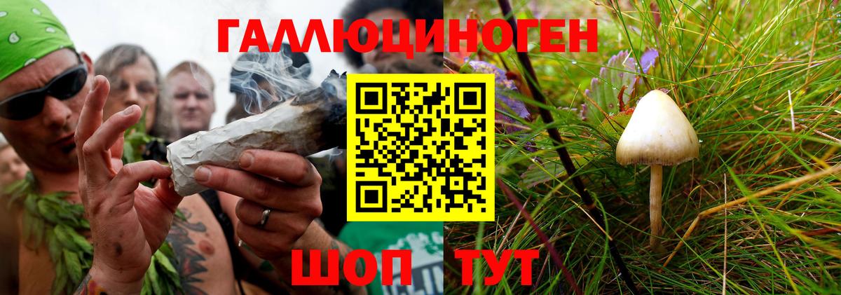 Тула  Галлюциногенные грибы мухоморы  Вход с VPN 